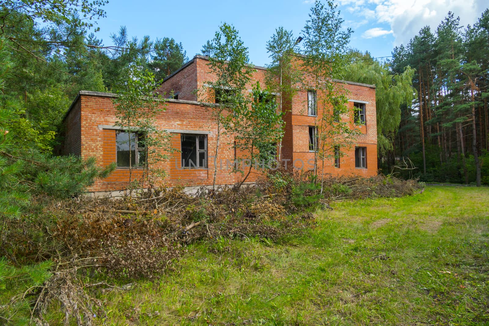 a brick abandoned building in the middle of a forest glade surrounded by dense forest