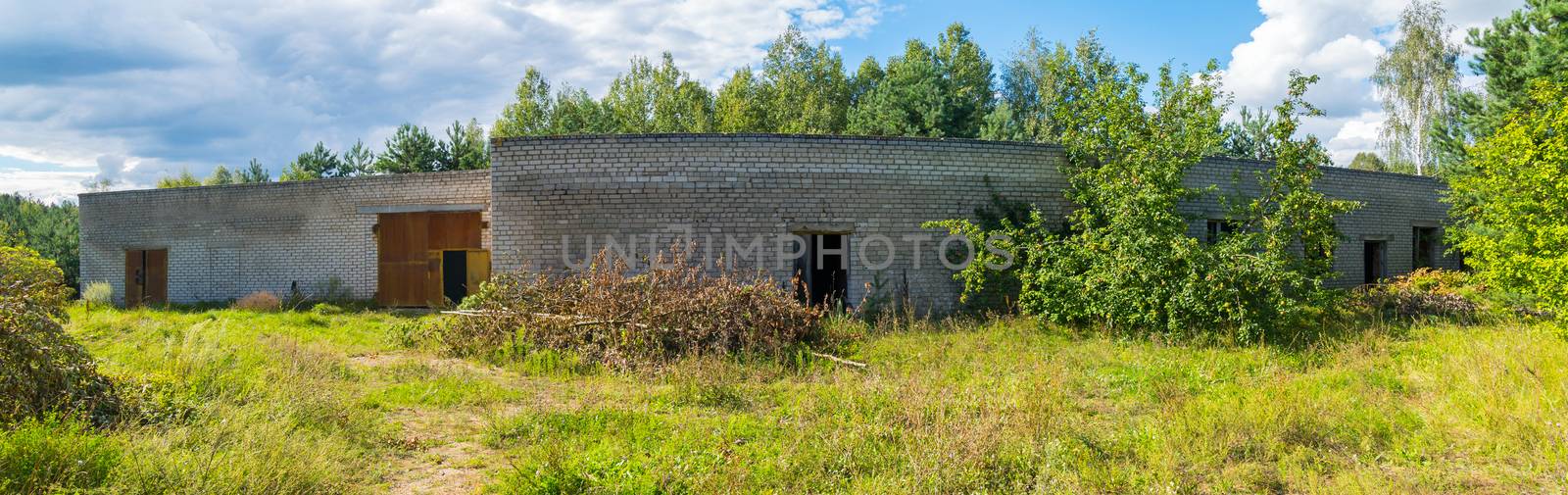 The large abandoned brick building is surrounded by tall, slender trees