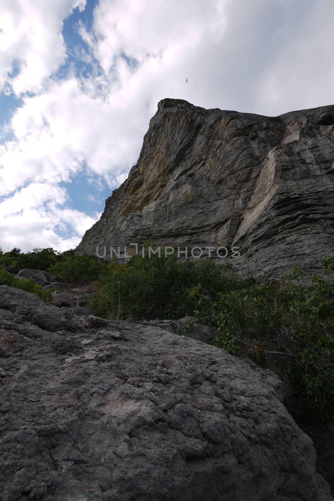 beautiful green trees under steep tall cliffs