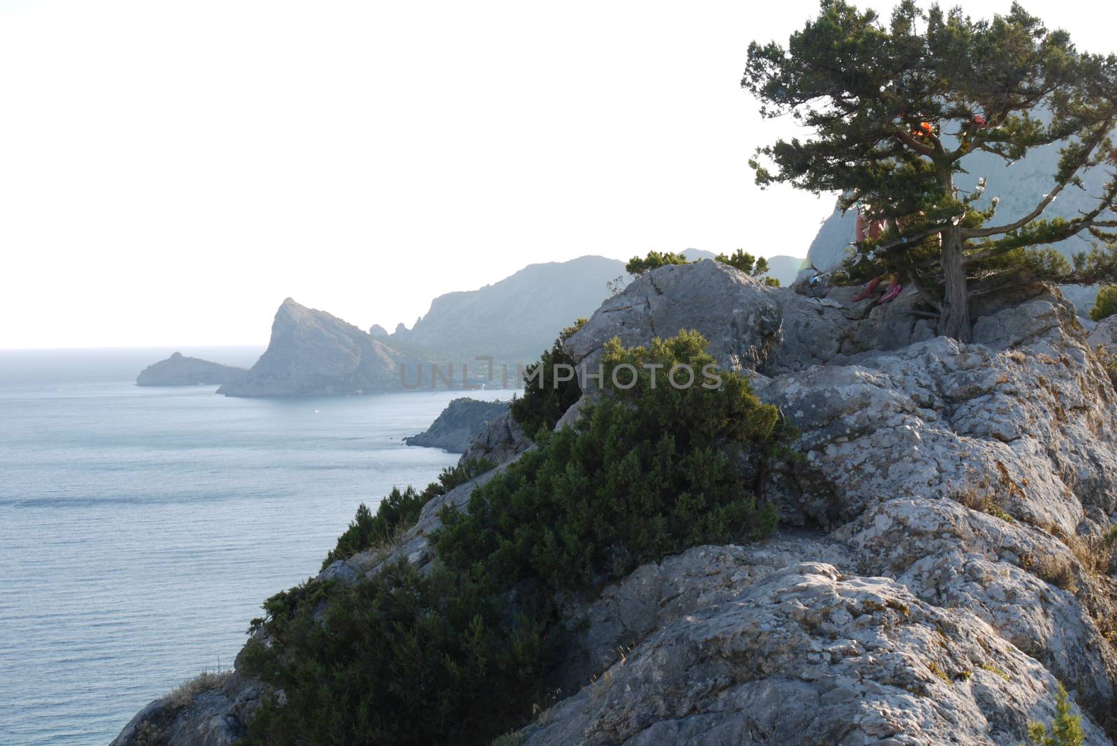 High cliffs under a blue sky on the shore of a wide, endless sea by Adamchuk