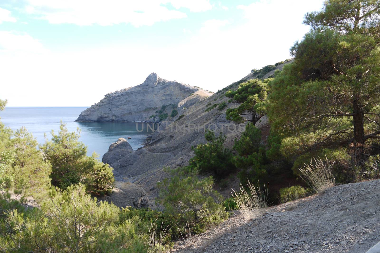 Beautiful Crimean mountains are covered with trees on the background of a deep black sea by Adamchuk