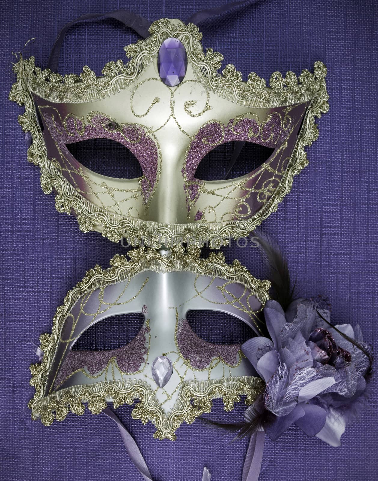 venetian mask from above