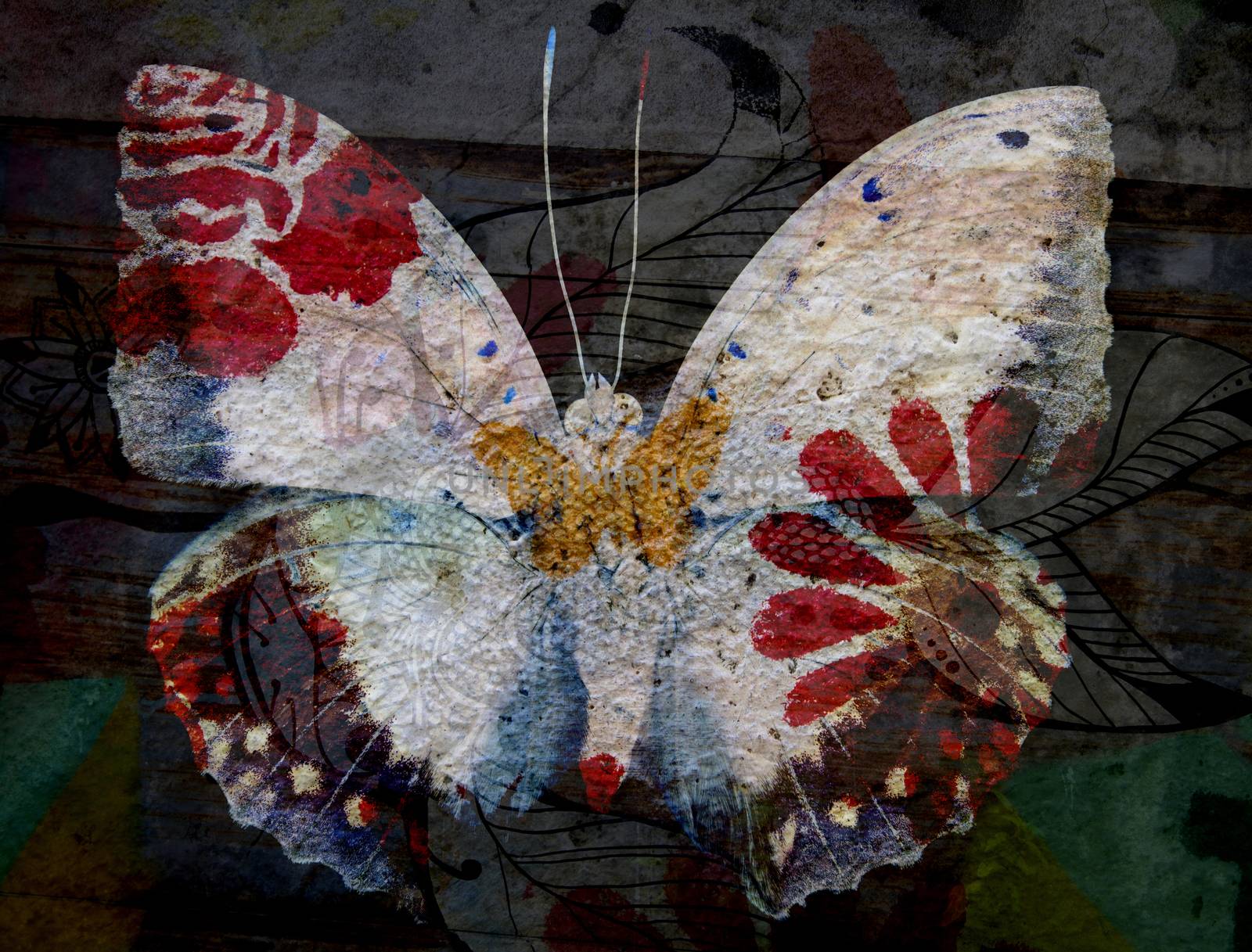 Grunge Butterfly  texture Background