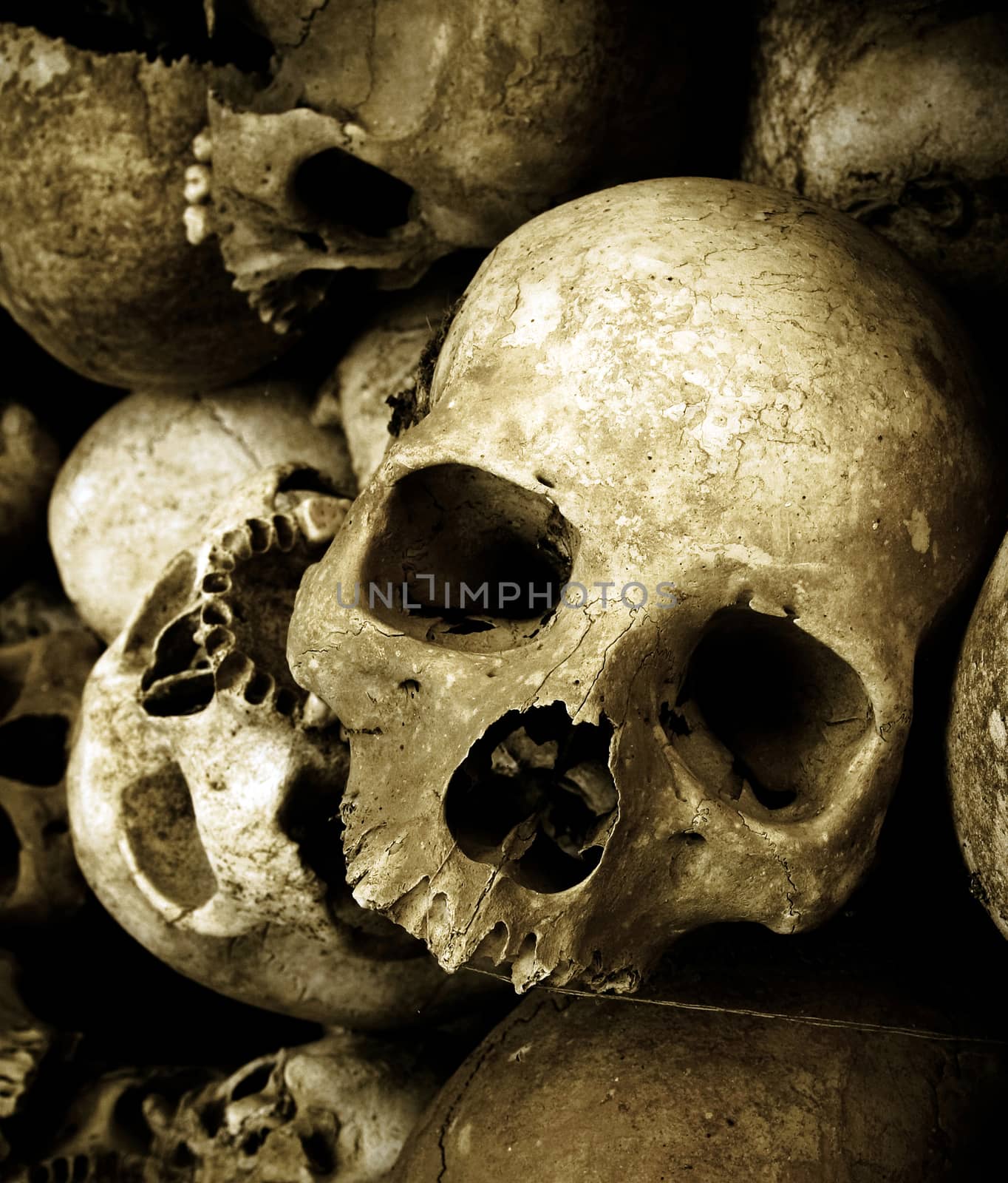 skulls by davincidig