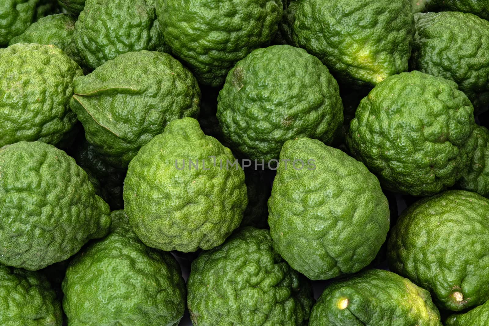 Fresh kaffir limes, bergamot fruit for herbal products by praethip