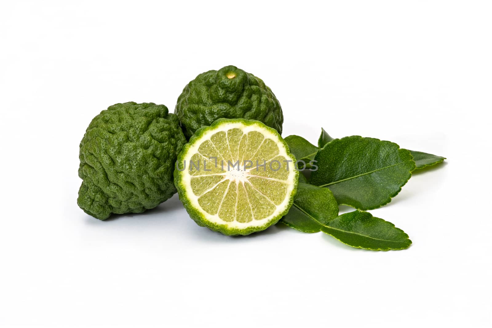 Bergamot fruit kaffir limes and green leaves for herbal products on a white background