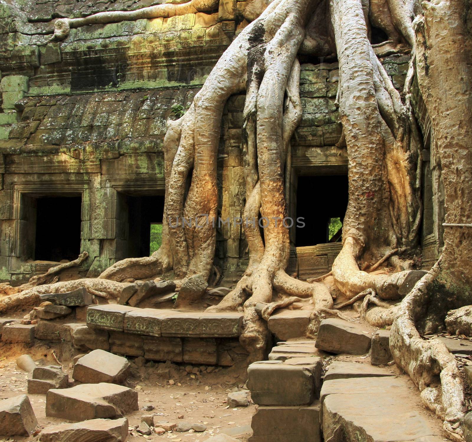 angkor wat complex in cambodia