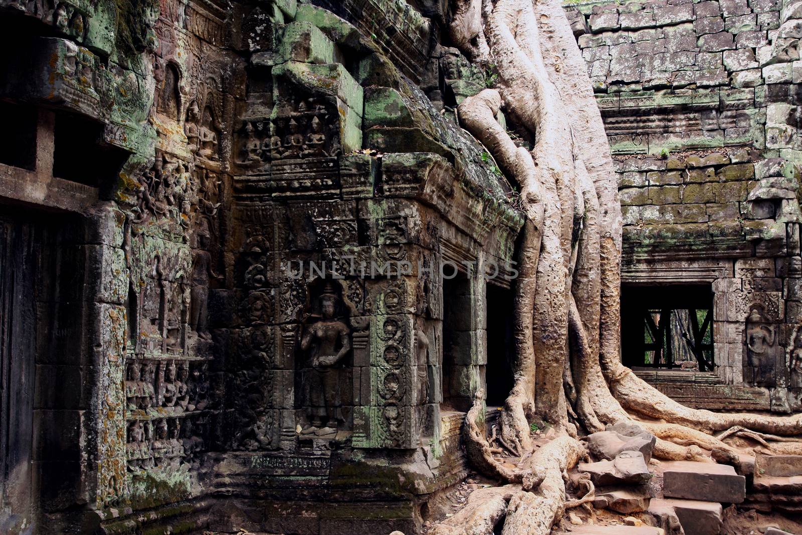 angkor by davincidig