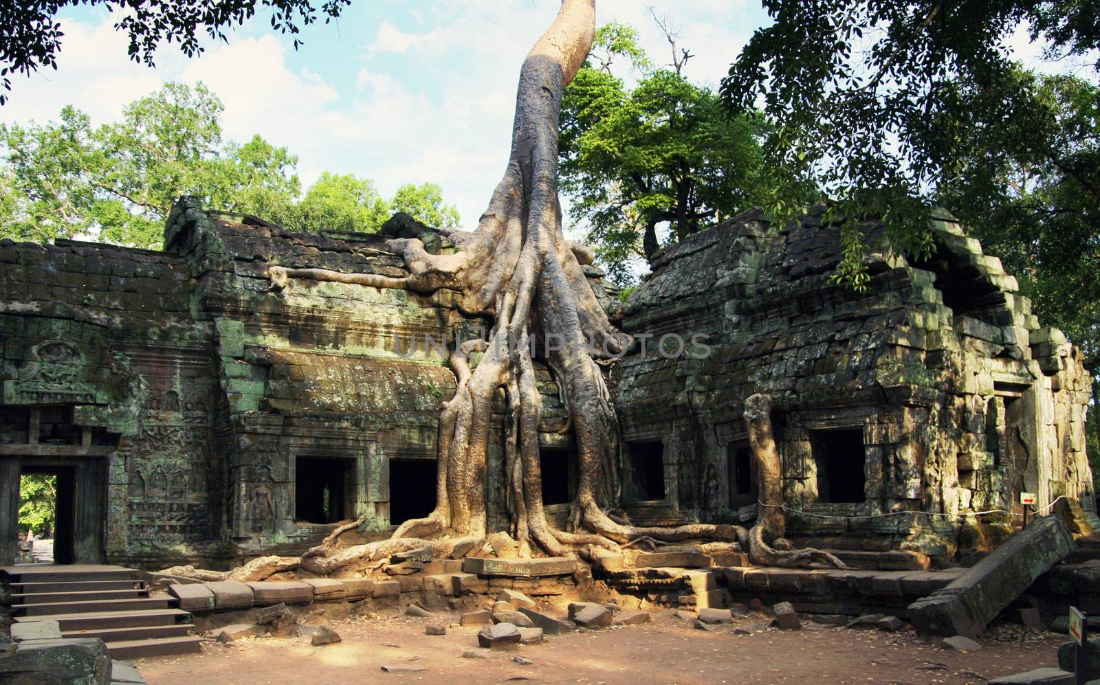 Angkor Wat 