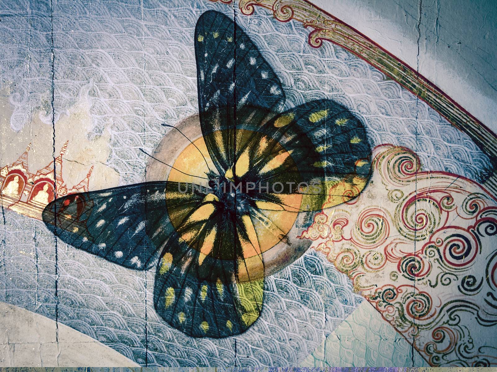 grunge butterfly image