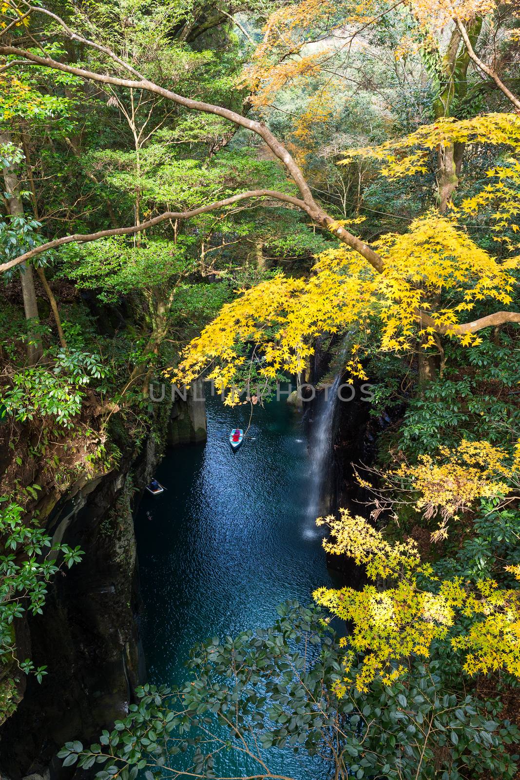 Yellow leaves in Takachiho Gorge by leungchopan