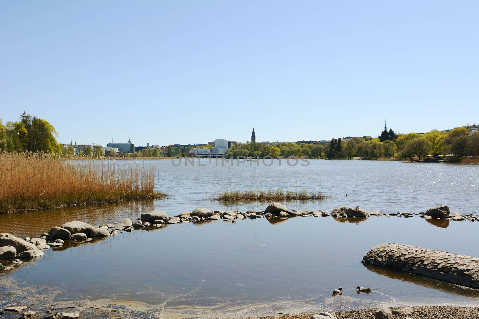 Shallow pool at the edge of Toolo bay, Helsinki, marked by rocks and reeds. City buildings stand on the opposite shore.