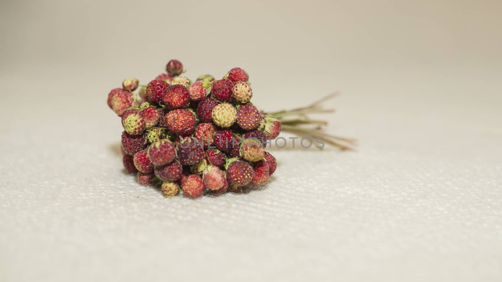 Bouquet of wild strawberry by marynkin