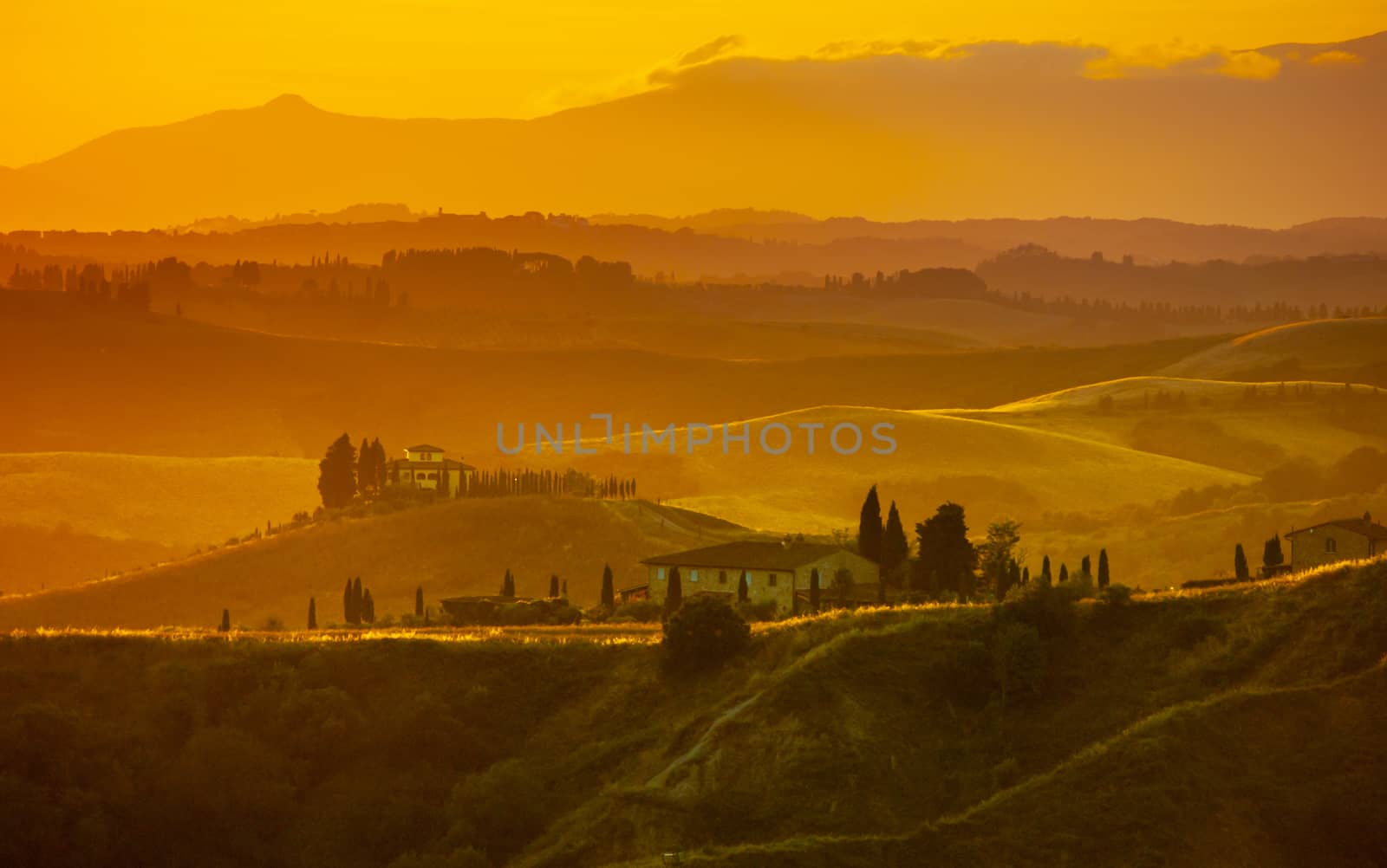 Evening in Tuscany. Hilly Tuscan landscape in golden mood at sunset time with silhouettes of cypresses and farm houses, Italy by pyty