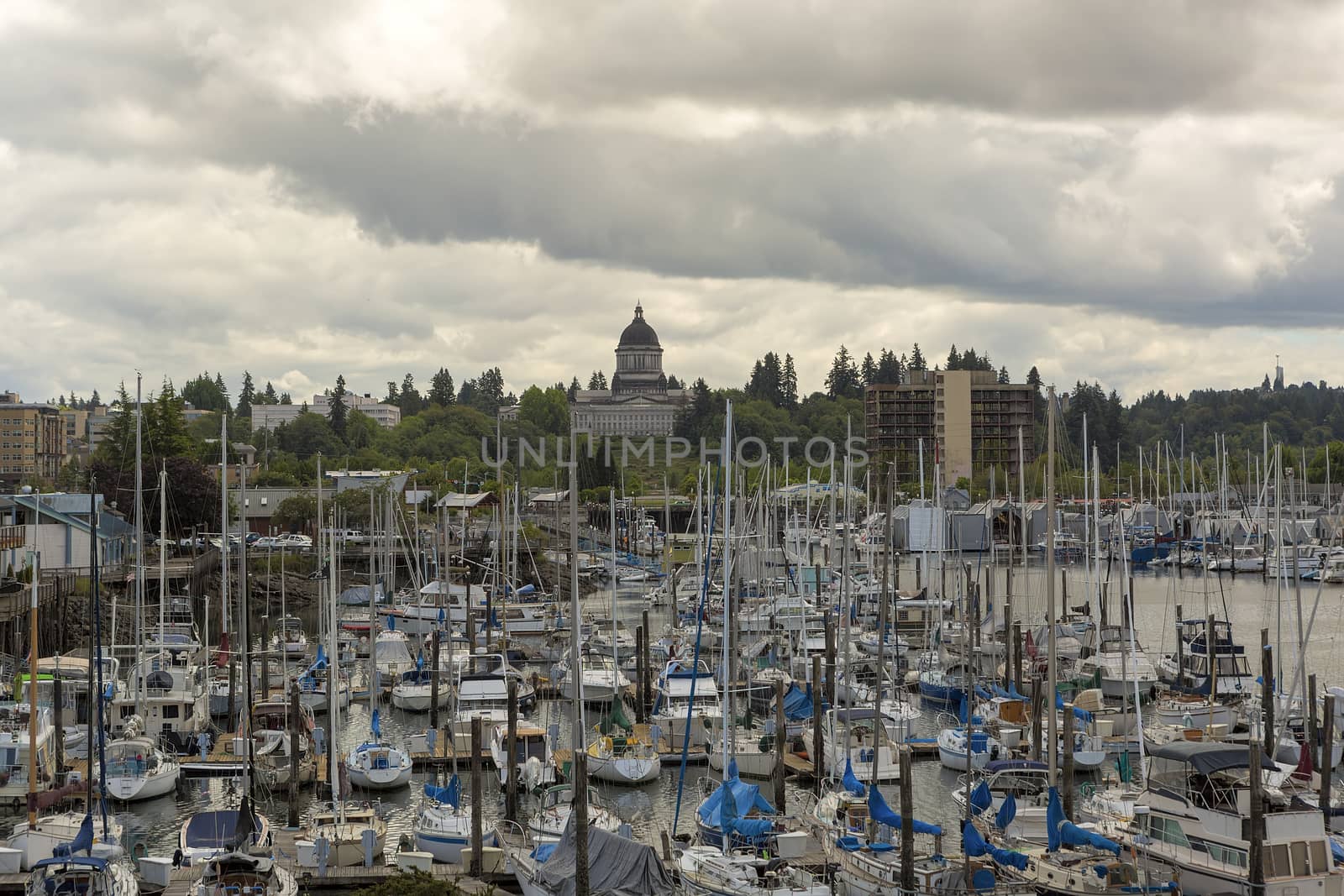 Marina in Olympia Washington Waterfront Moorage by Davidgn