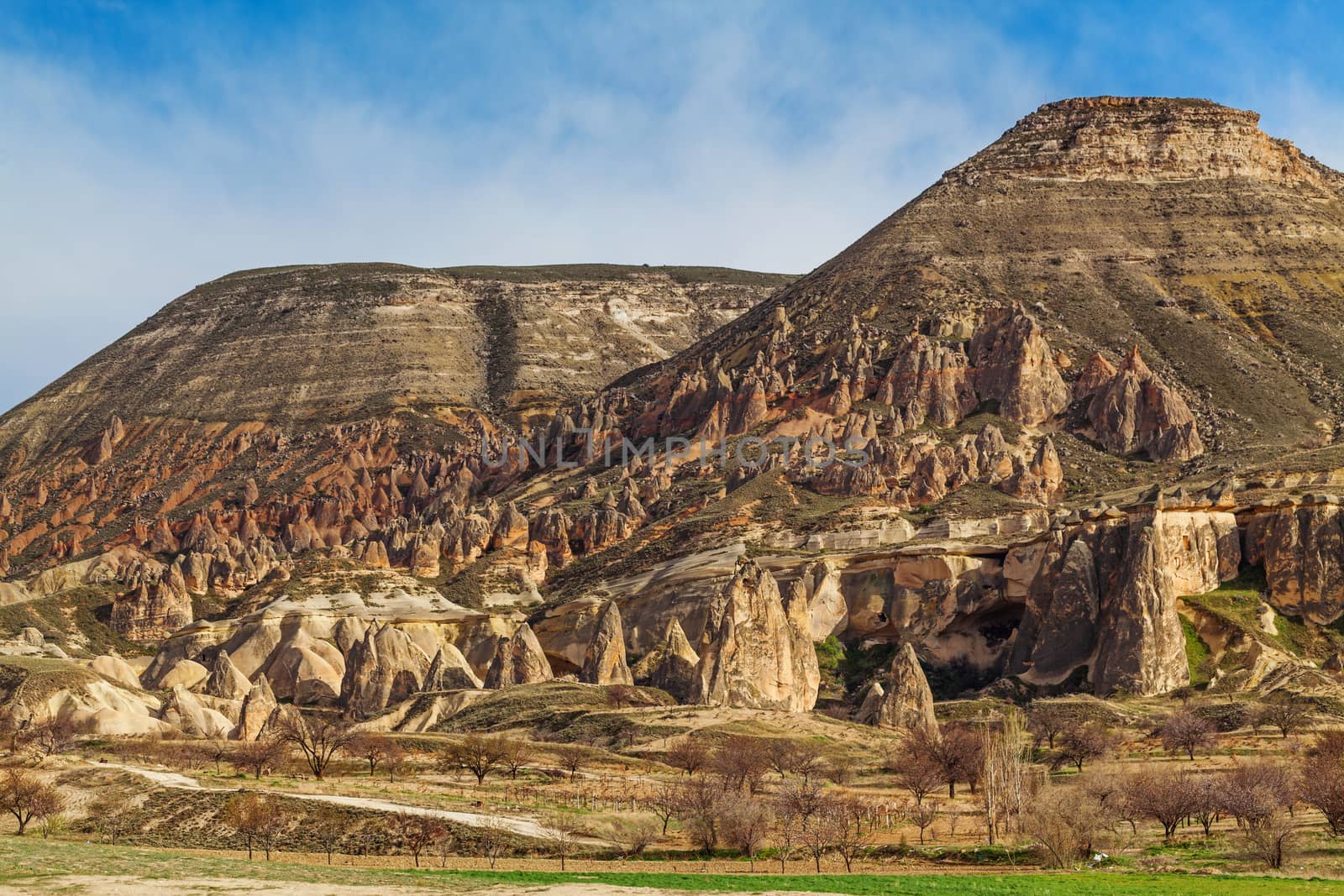 Rose valley near Goreme, Turkey by igor_stramyk