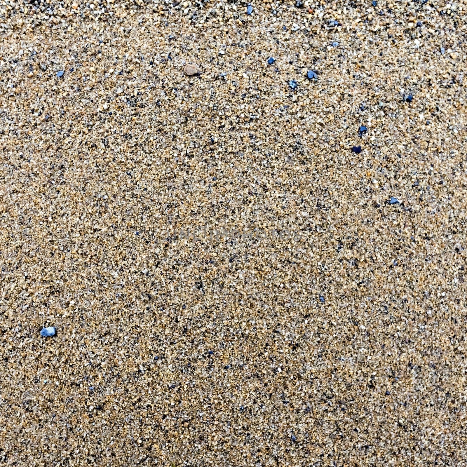 texture of the sand on the lake, come across small stones