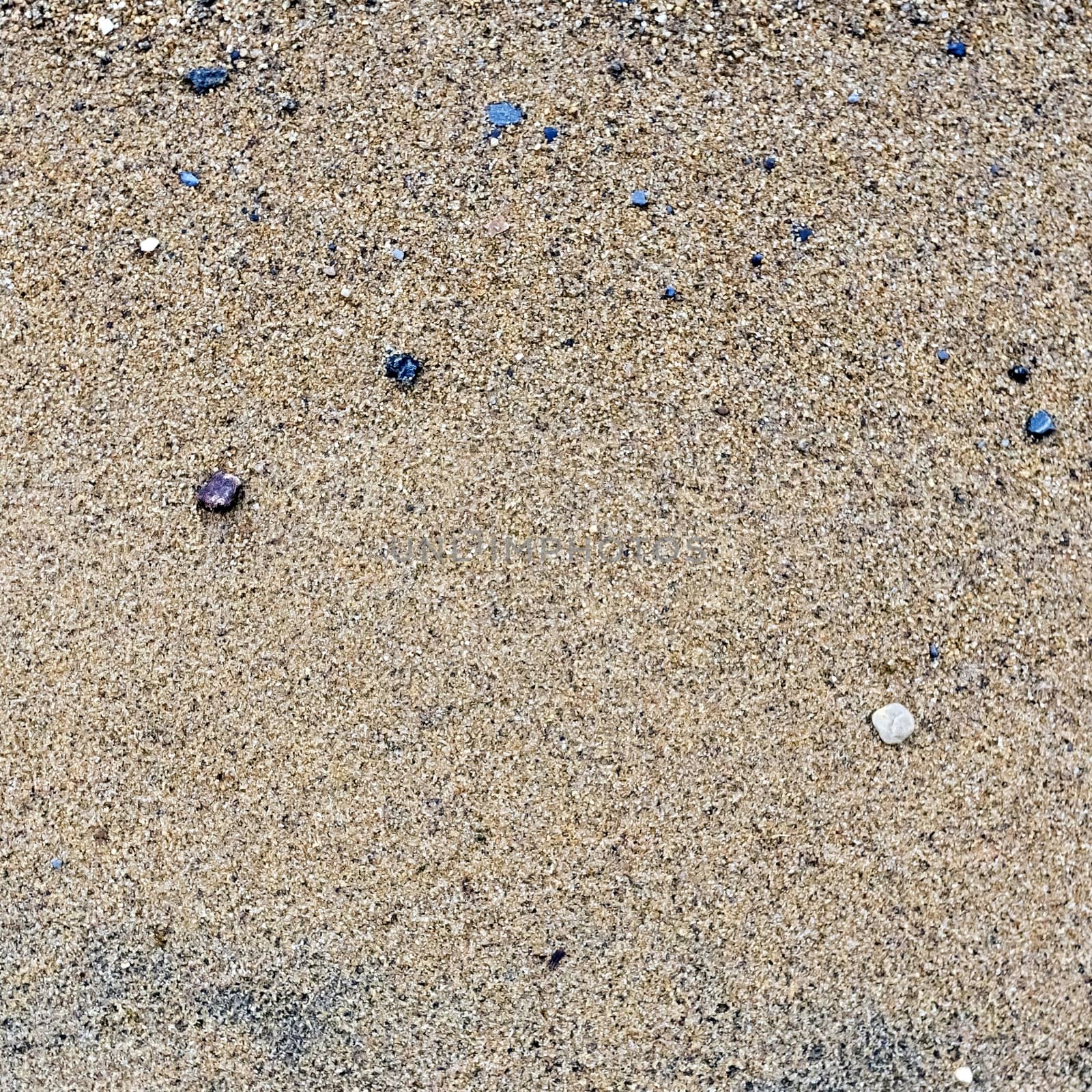 texture of the sand on the lake, come across small stones