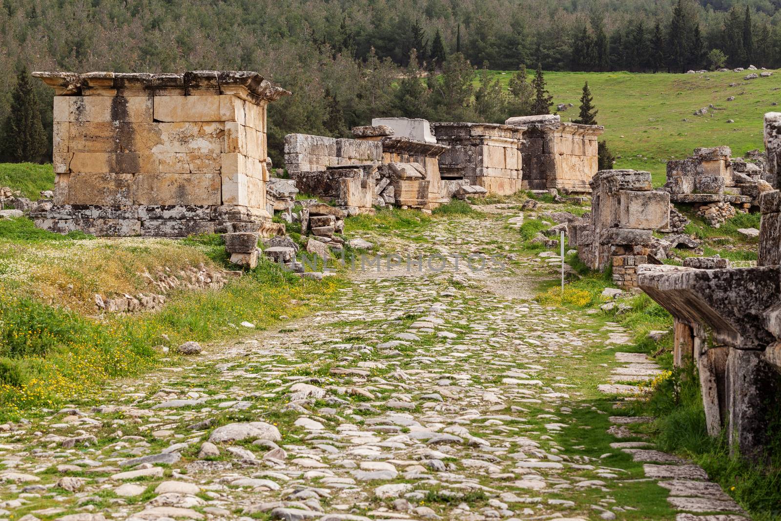 Ruins of ancient city, Hierapolis near Pamukkale, Turkey by igor_stramyk