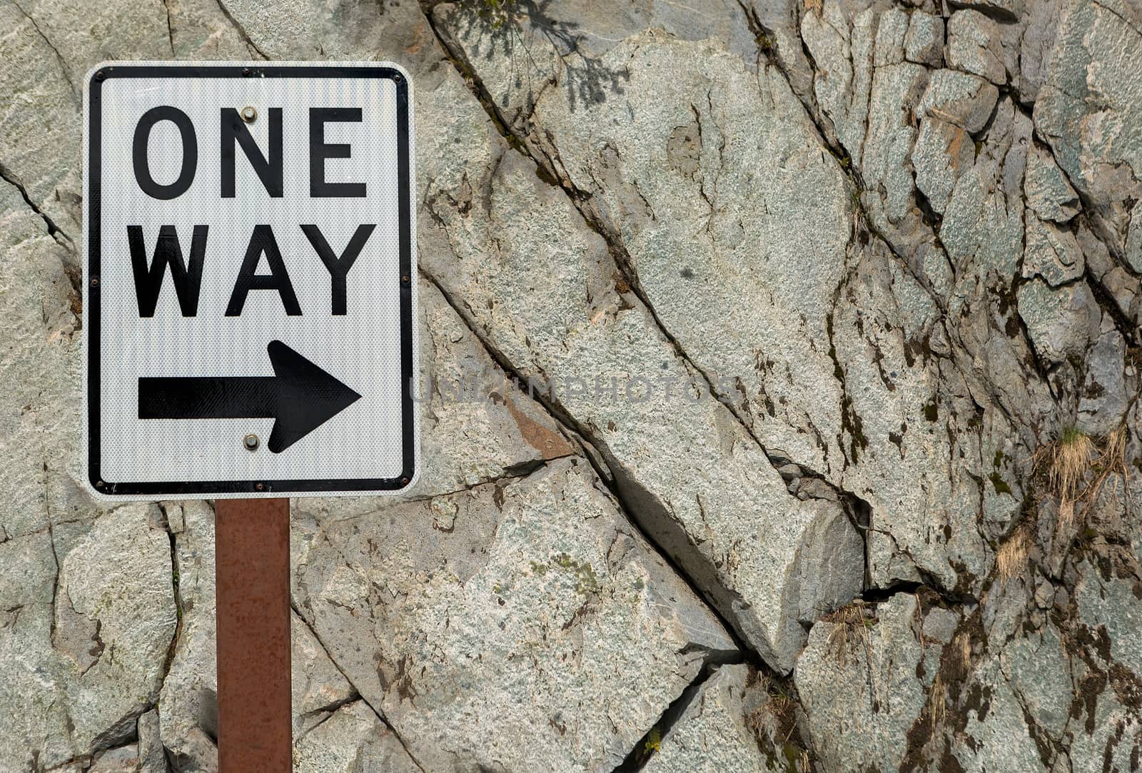 One Way Sign Against Rock Wall Background by Davidgn