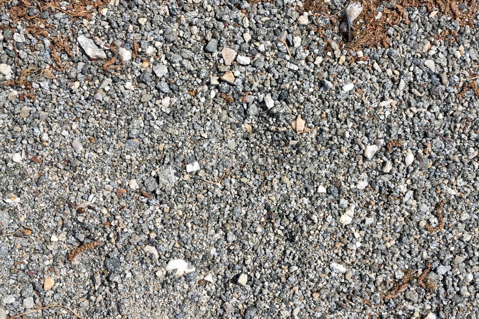 the texture of the sand on the lake, coarse sand