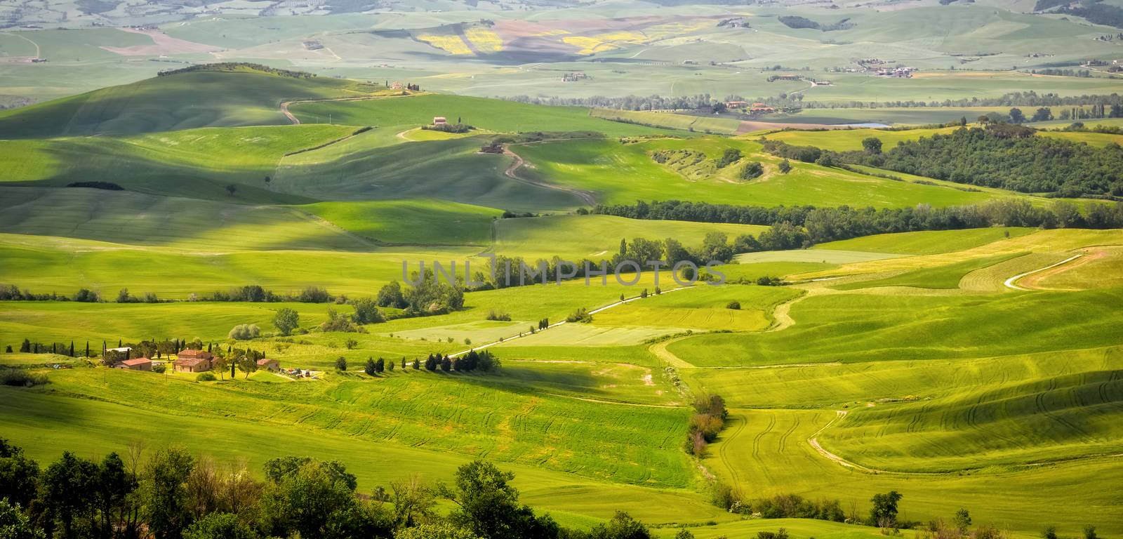 Countryside of Val d'Orcia near Pienza by phil_bird