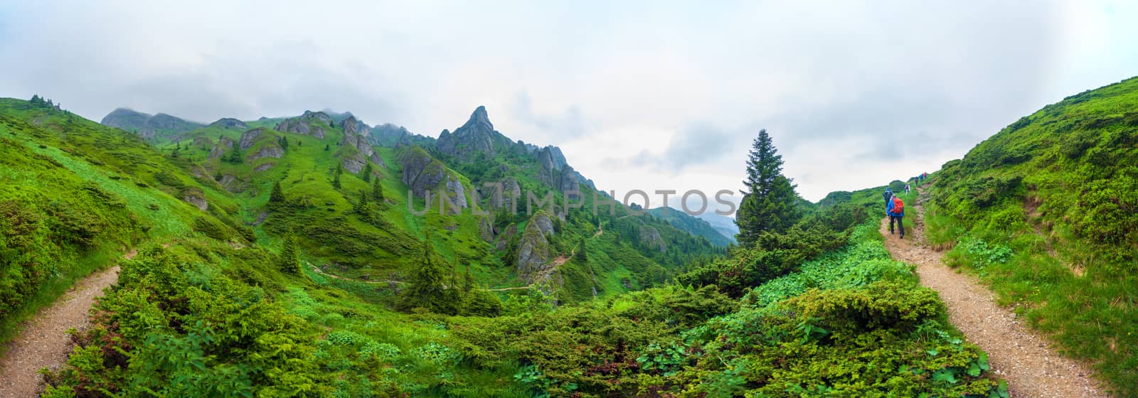 Hikers going to Mount Ciucas peack on summer, part of the Carpathian Range from Romania