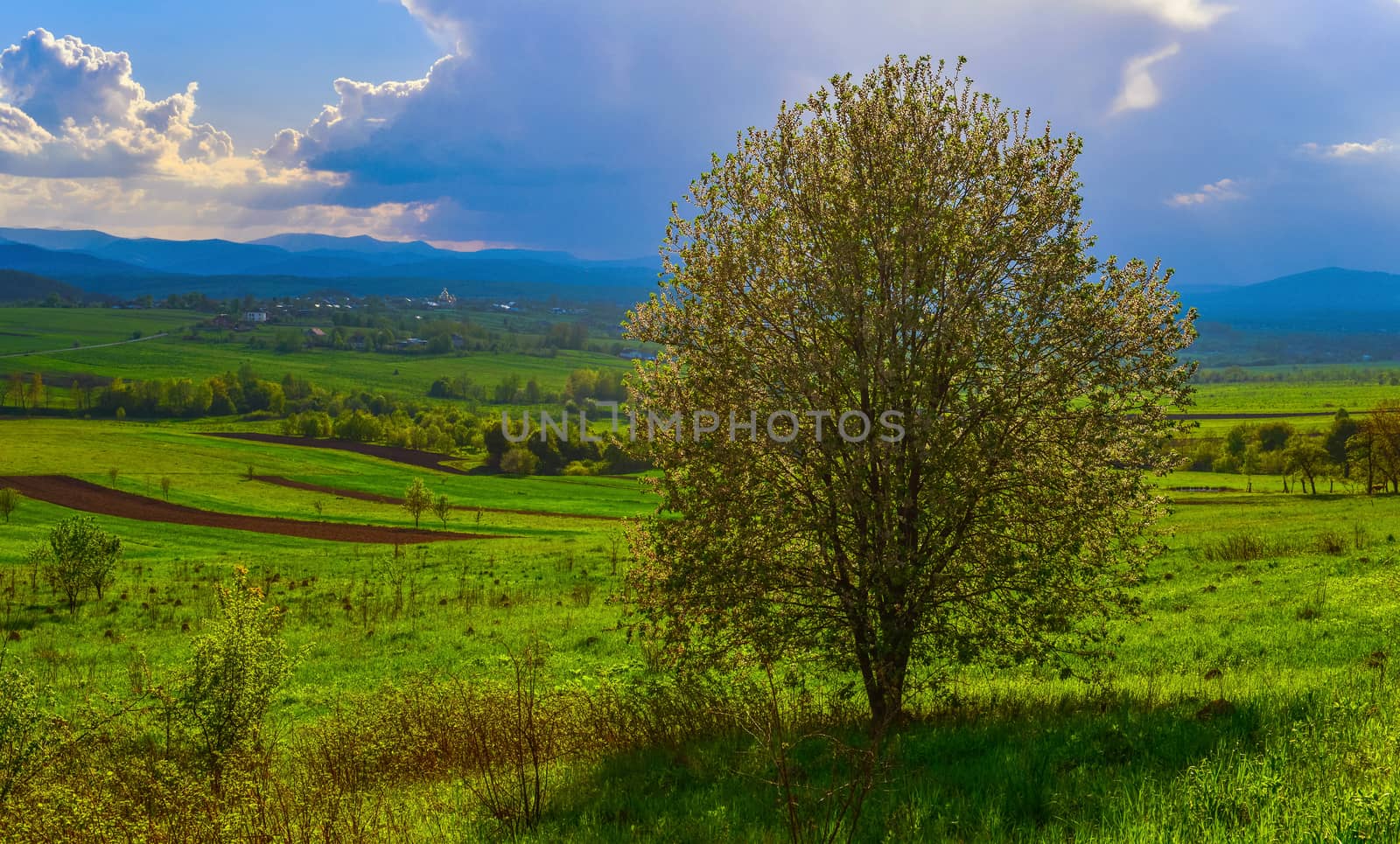 View of spring countryside