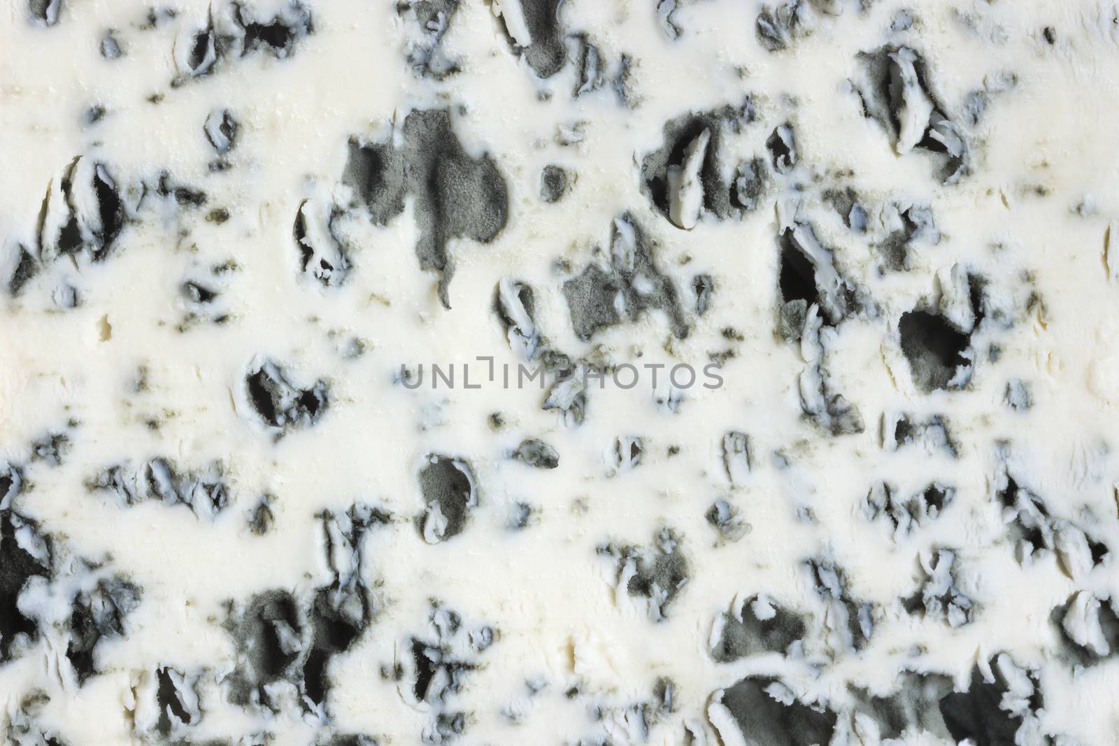 Danish blue cheese texture or background. Close up by xamtiw