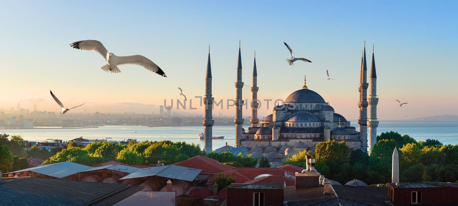 Seagulls over Blue Mosque and Bosphorus in Istanbul, Turkey