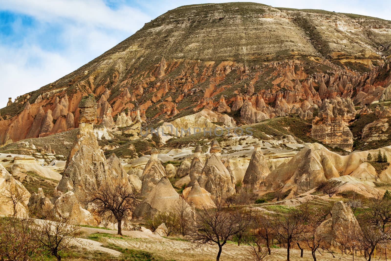 Rose valley near Goreme, Turkey by igor_stramyk