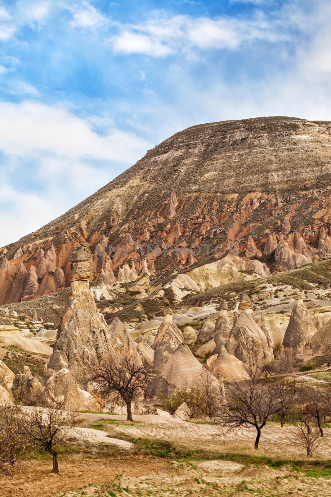 Rose valley near Goreme, Turkey by igor_stramyk