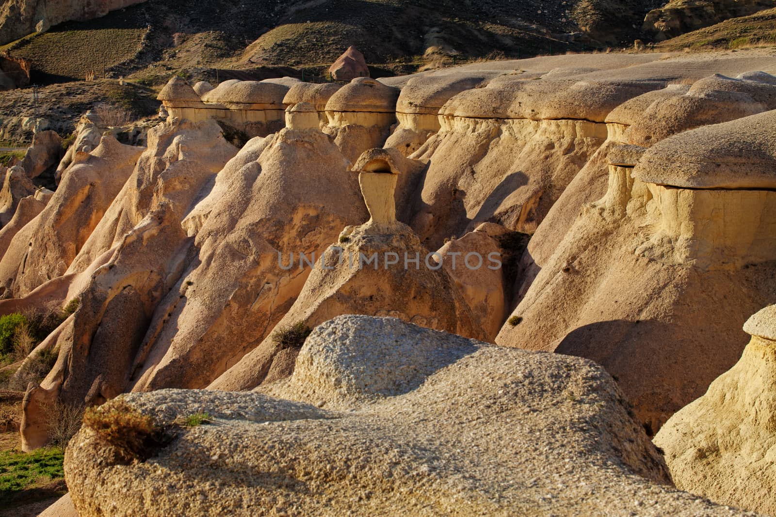 Rose valley near Goreme, Turkey by igor_stramyk