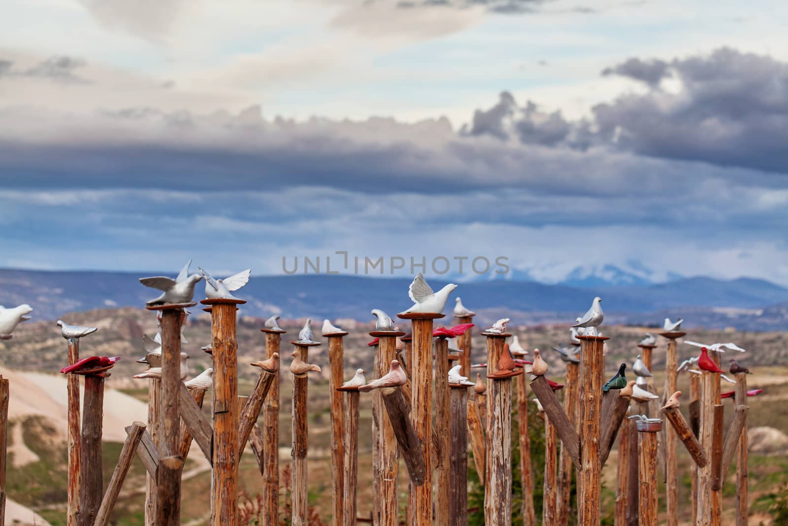 Decorative pigeons in Uchisar near Goreme, Turkey