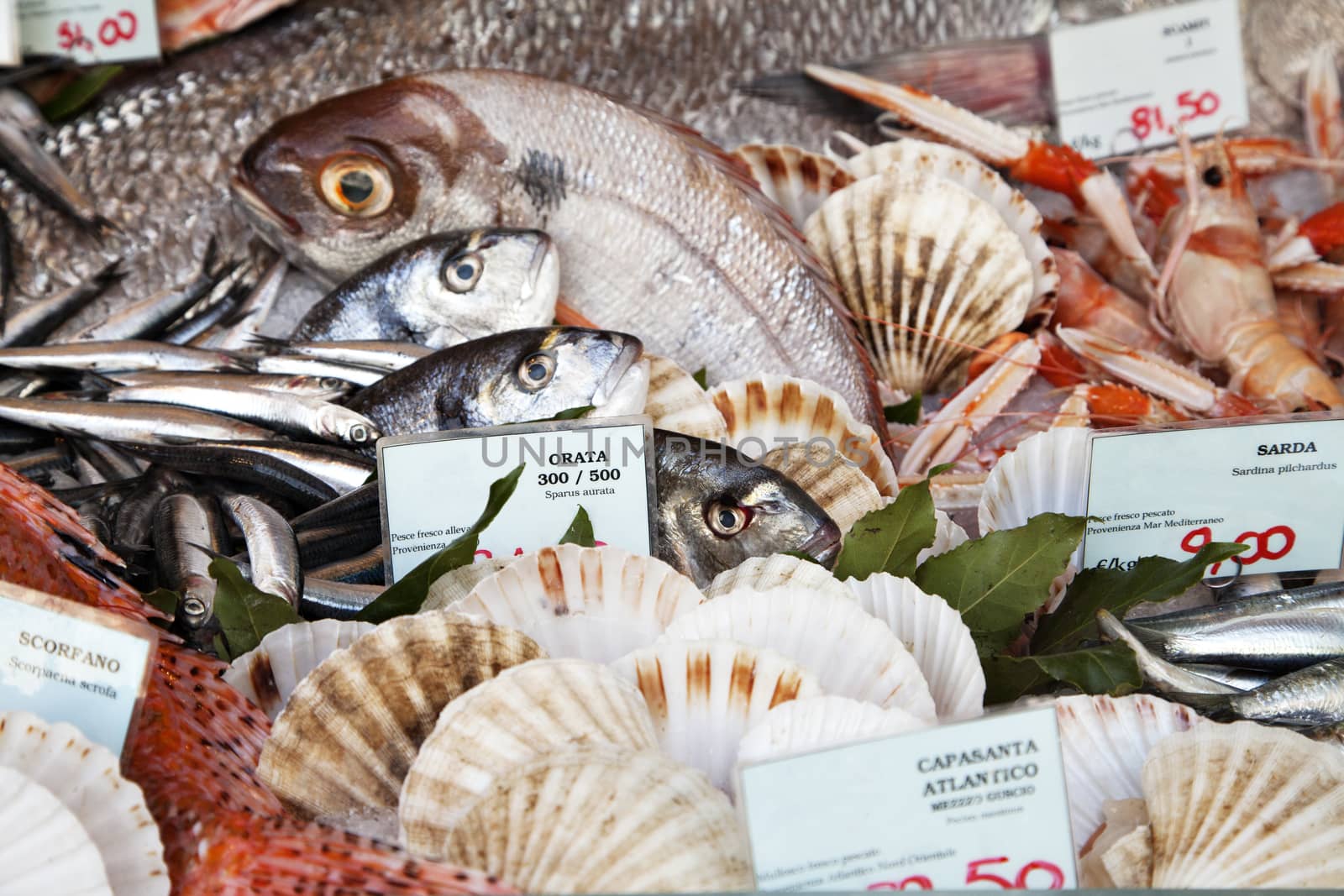 Fresh fish and clams in a market in Milan