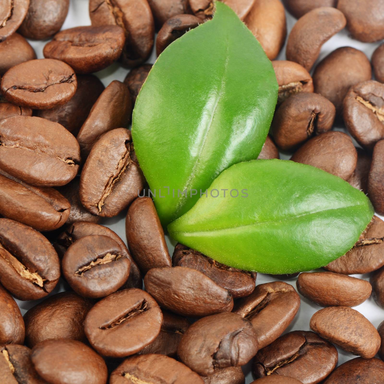 The coffee beans as a background by SvetaVo