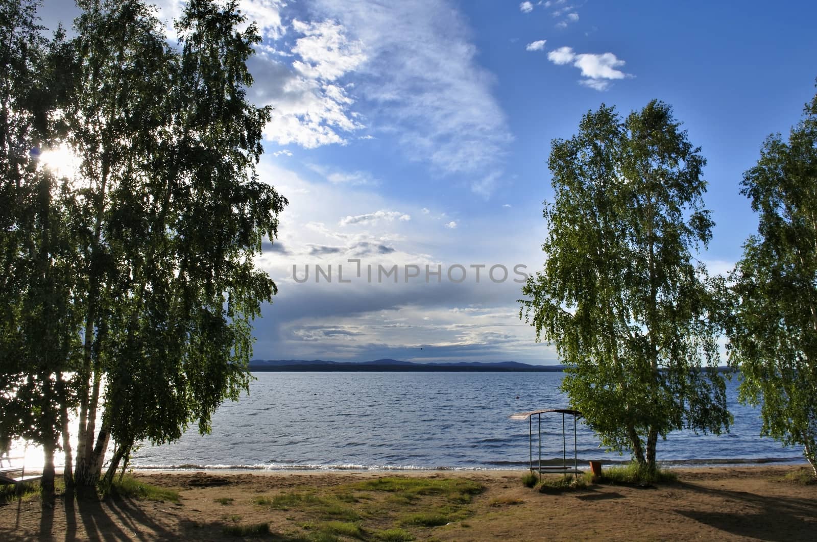 trees on the edge of the lake illuminated by the contour light of the sun