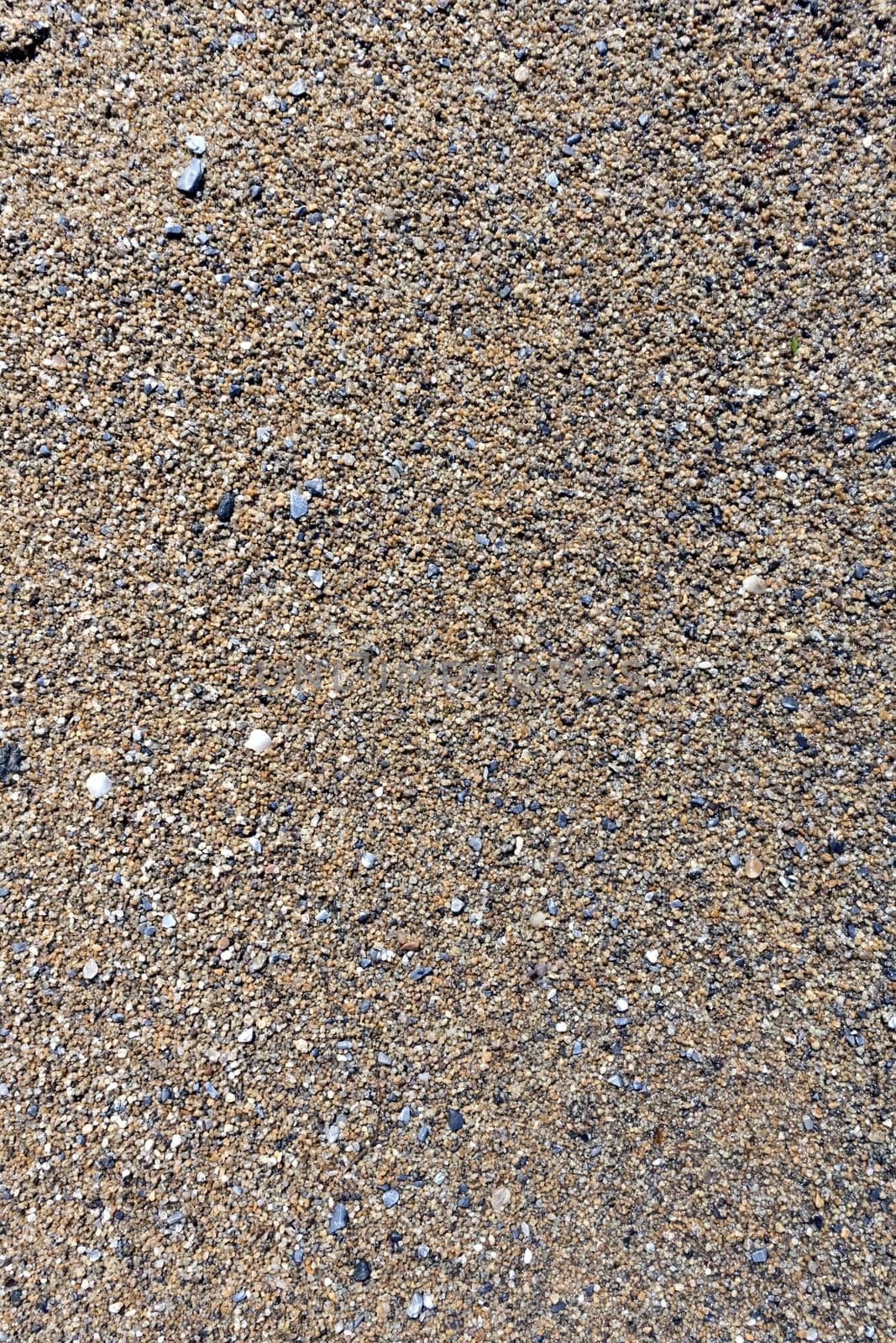texture of wet sand with small stones on the lake