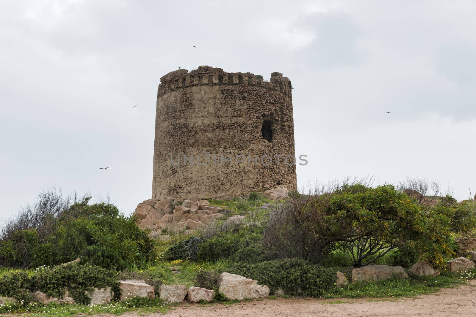 Nuraghe on the island of sardinia Italy,what is known about the Nuragic civilization, is that it was a people of shepherds and farmers grouped into communities who lived in Sardinia for 8 centuries.