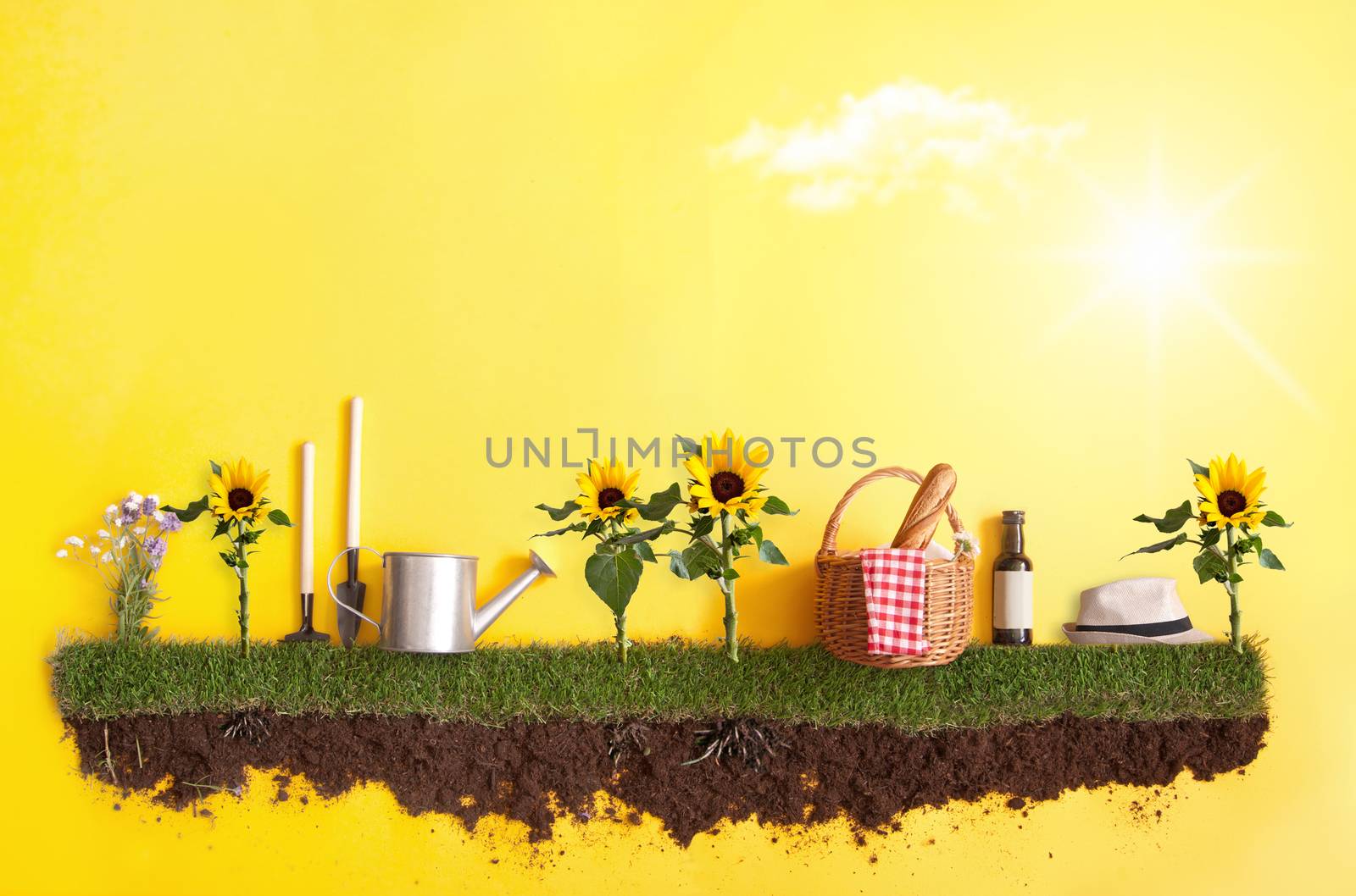 Summer picnic background by unikpix