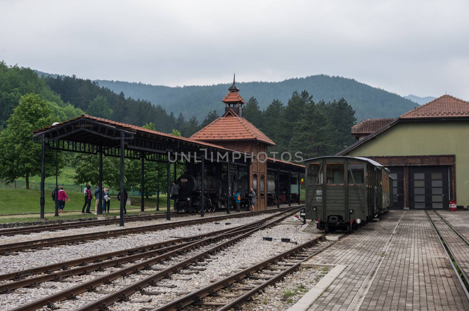 Sargan Vitasi, Serbia - May 6, 2018: Old steam trains in Sargan Vitasi station. From here start the so called "Sargan Eight" narrow-gauge heritage railway to Mokra Gora.