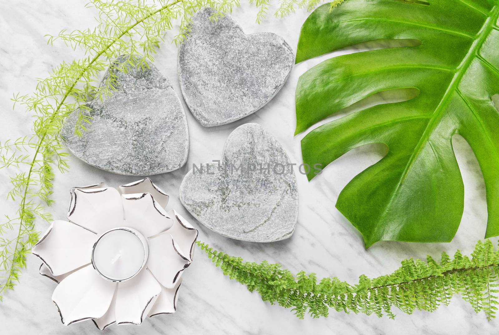 Green plants, stone hearts and lotus candle by anikasalsera