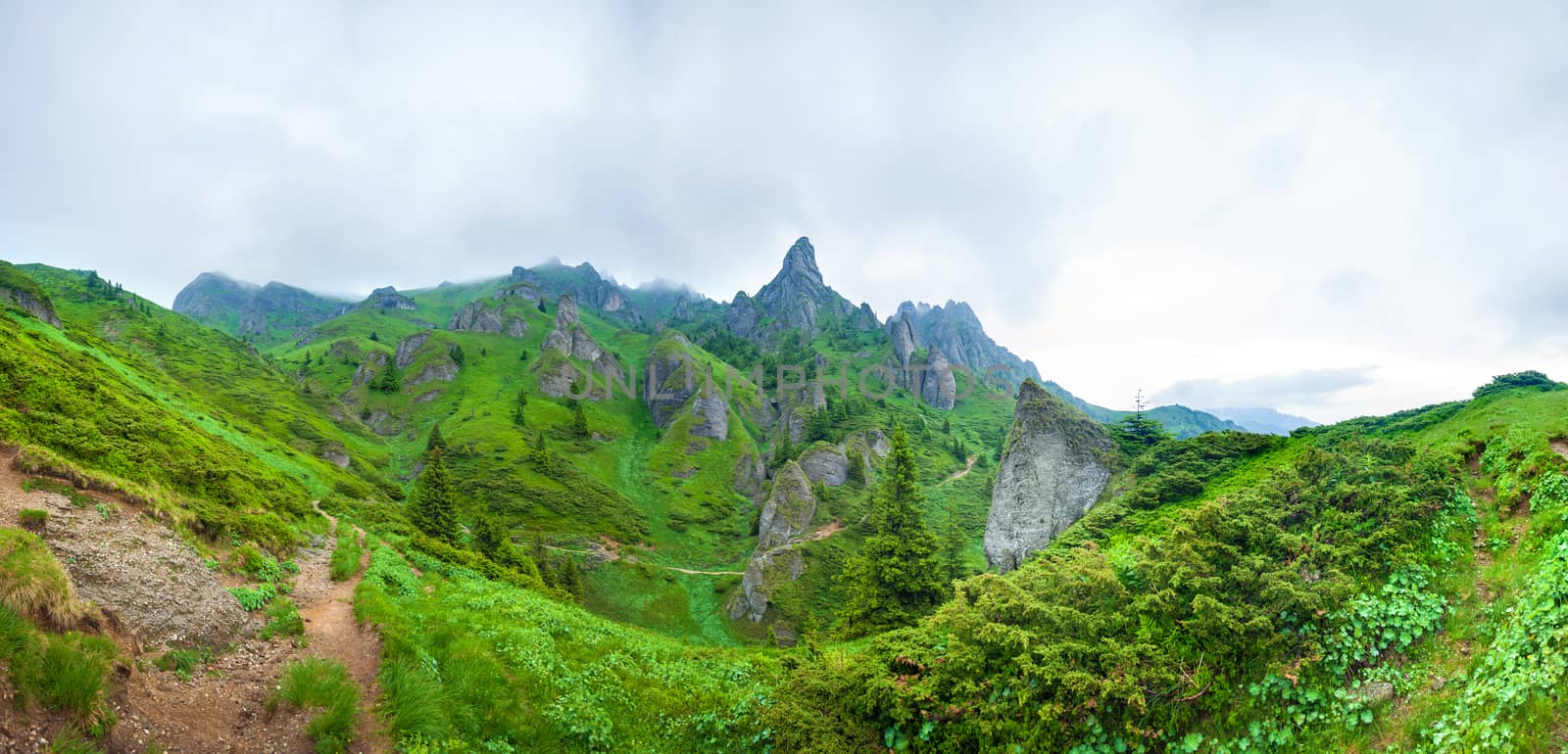 Hikers going to Mount Ciucas peack on summer, part of the Carpathian Range from Romania