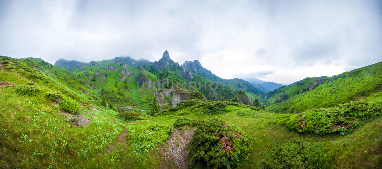 Mount Ciucas peack on summer, part of the Carpathian Range from Romania