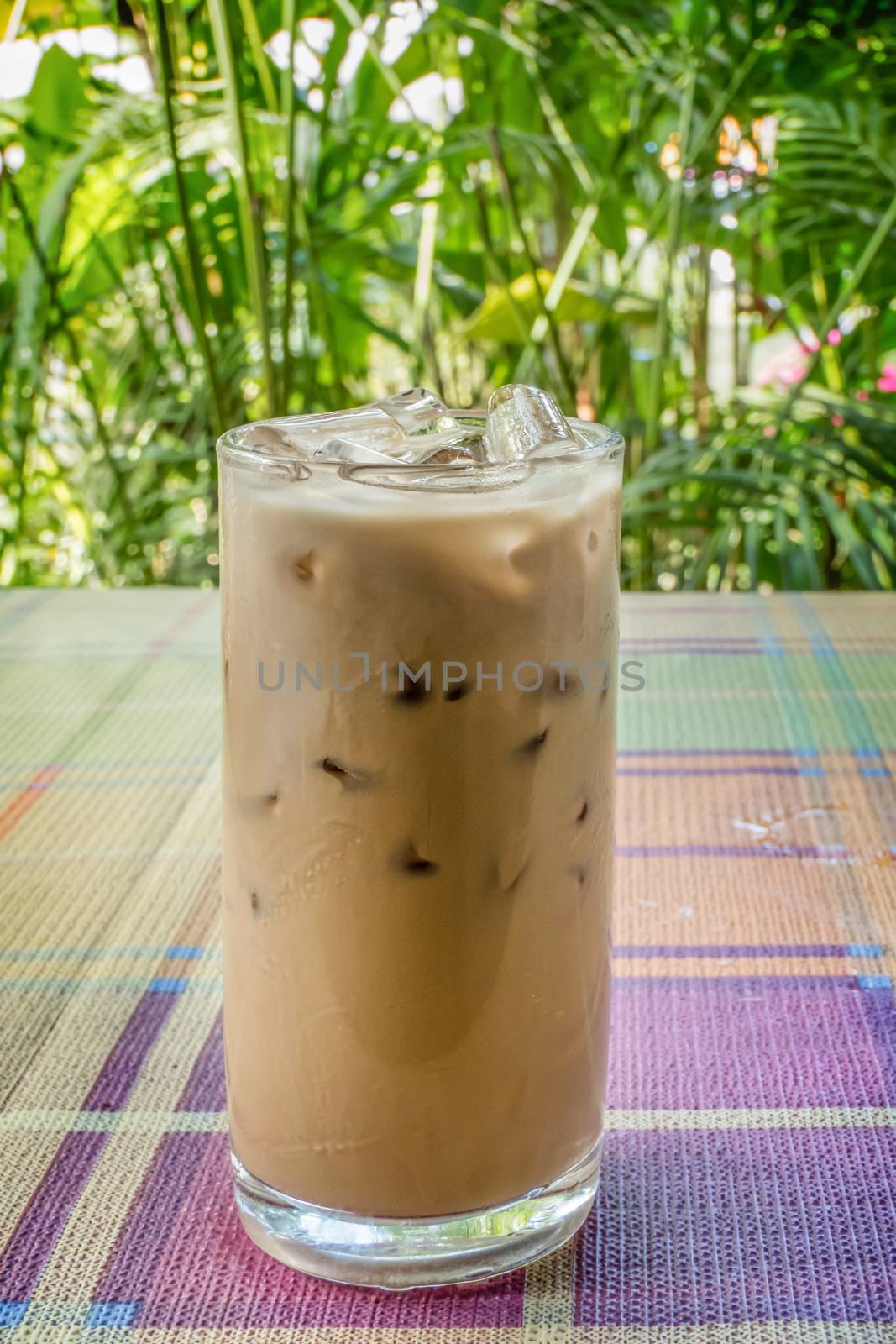 iced coffee with milk on table with nature background