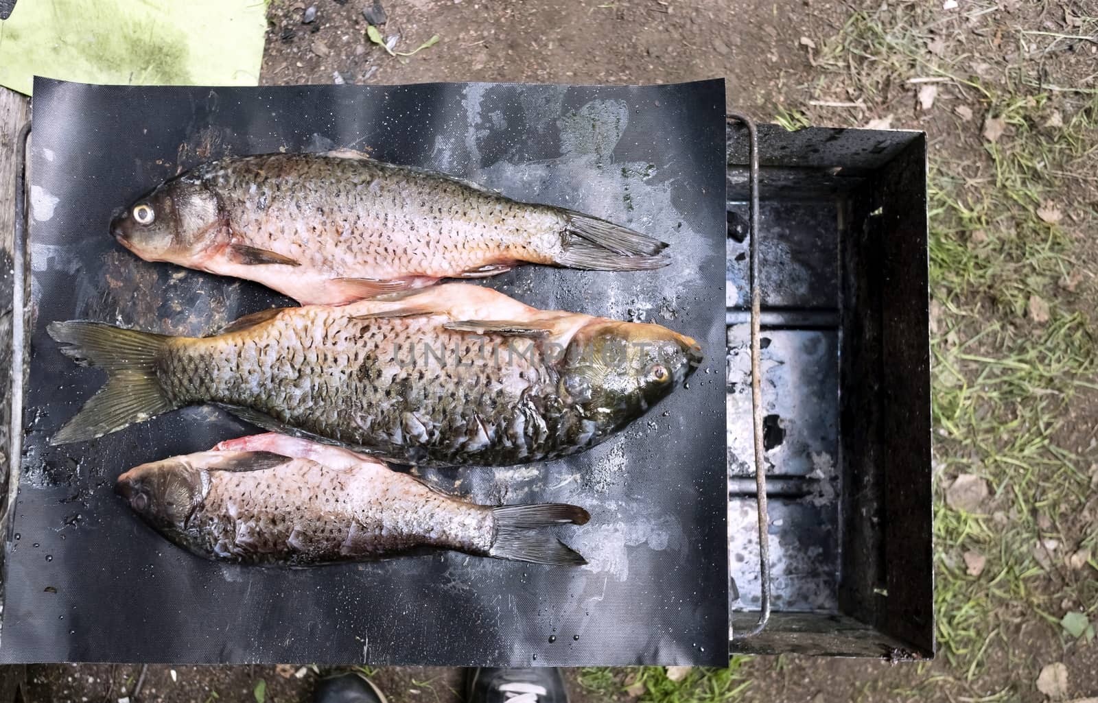 raw carp cooked for baking on the grill and laid out on a baking sheet