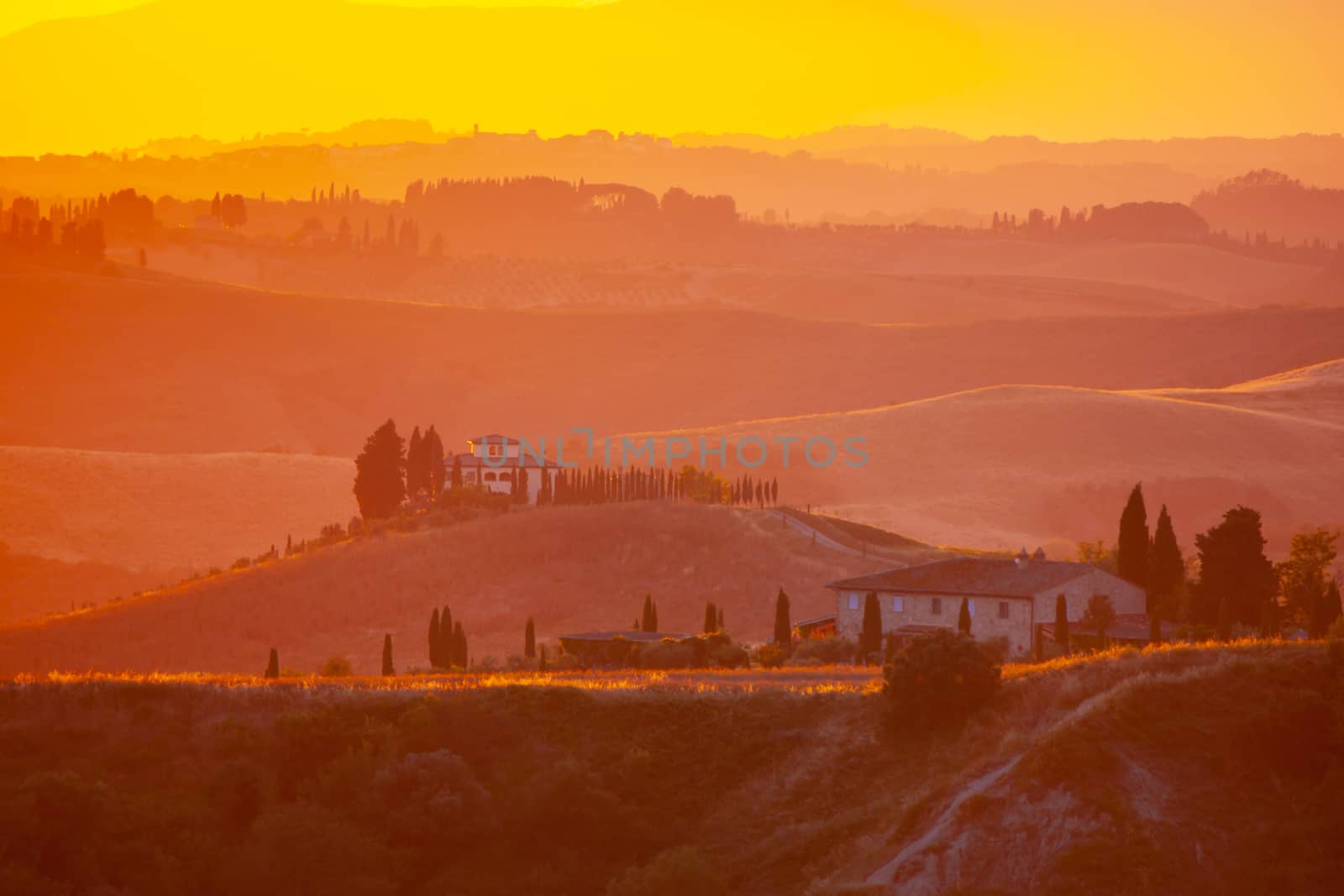 Evening in Tuscany. Hilly Tuscan landscape in golden mood at sunset time with silhouettes of cypresses and farm houses near Volterra, Italy by pyty