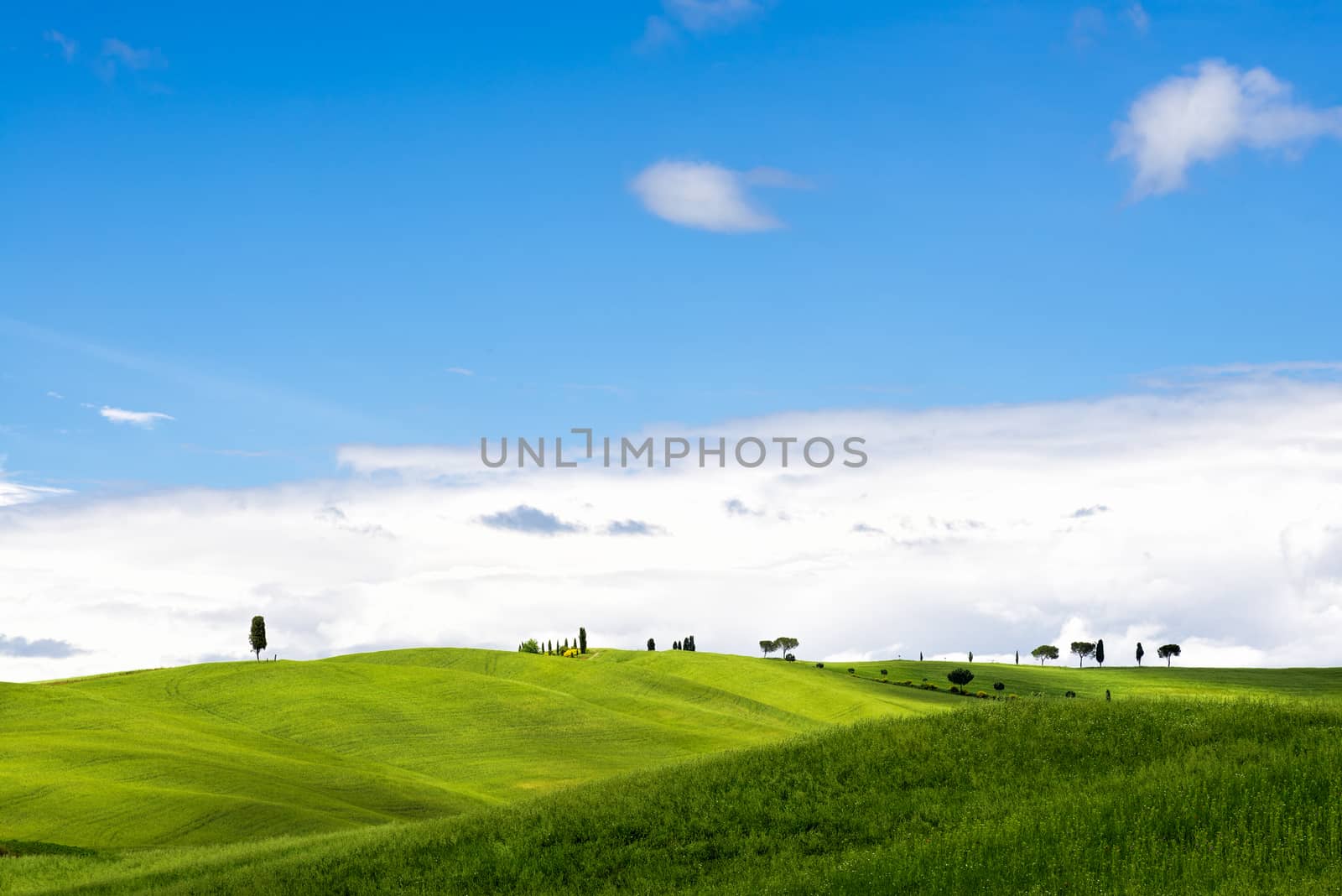 View of the Scenic Tuscan Countryside