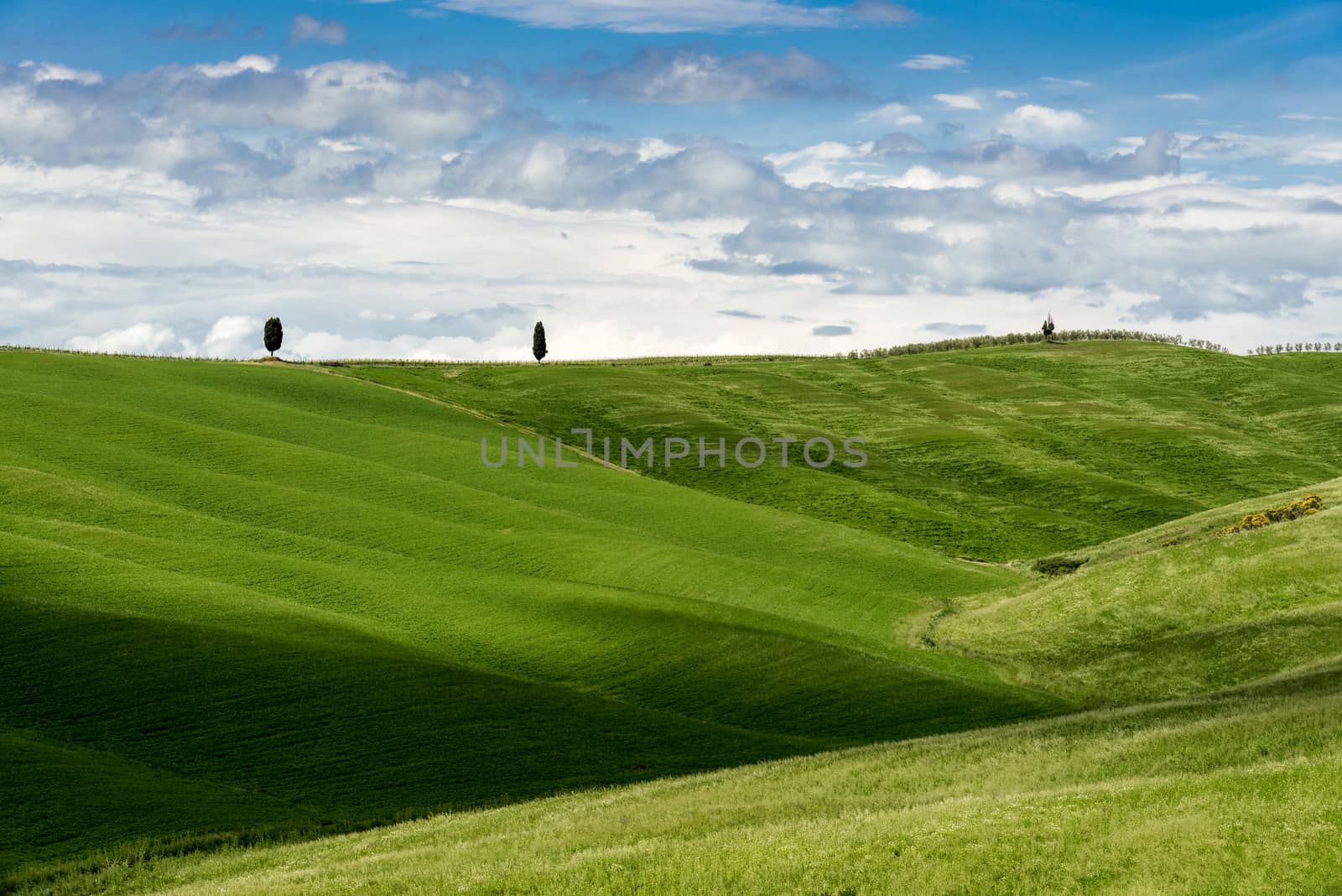 View of the Scenic Tuscan Countryside by phil_bird