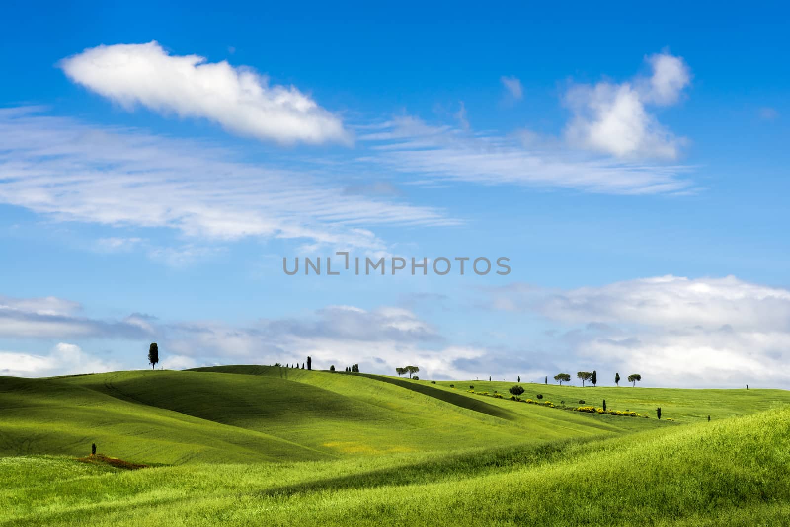 View of the Scenic Tuscan Countryside by phil_bird